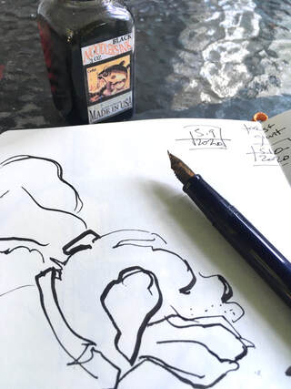 Draw The Line: Sketching and Journaling with Fountain Pens